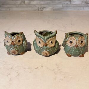 Small Owl Succulent Planters set of 3